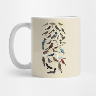 Bird Fanatic Mug